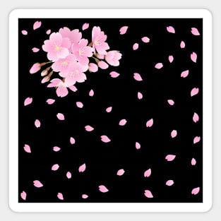 Cherry blossoms everywhere Magnet